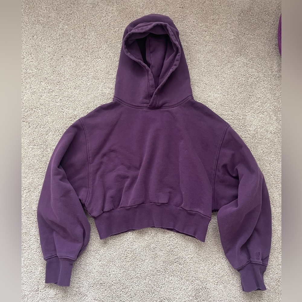 Aritzia Women’s Cropped Hoodie